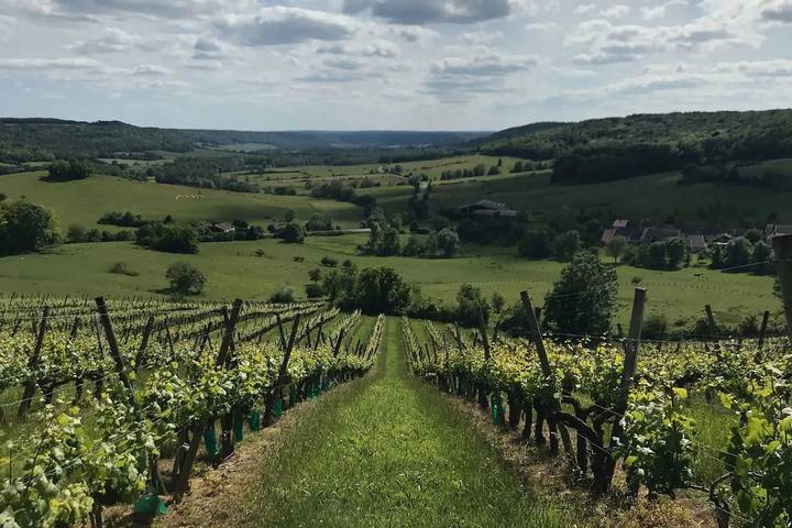 Ferienhaus 'Maison Bobonne' mit privater Terrasse, privatem Garten und WLAN in Coiffy-le-Haut, Haute-Marne