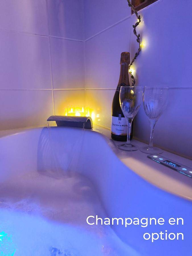 Location de vacances pour 2 personnes, avec jacuzzi ainsi que jardin et terrasse à Rezé - 2