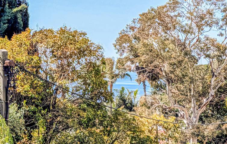 Ferienwohnung für 4 Personen, mit Terrasse in Antibes - 4