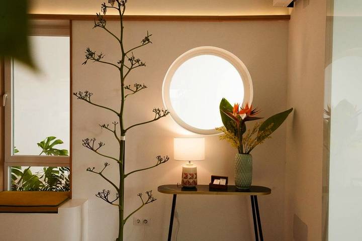 Maison d’hôte pour 3 personnes, avec jardin ainsi que piscine et bassin pour enfant à Conil de la Frontera - 4