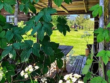 Feriehus til 8 Personer i Siljan i Sverige, Dalarna, Bilde 2