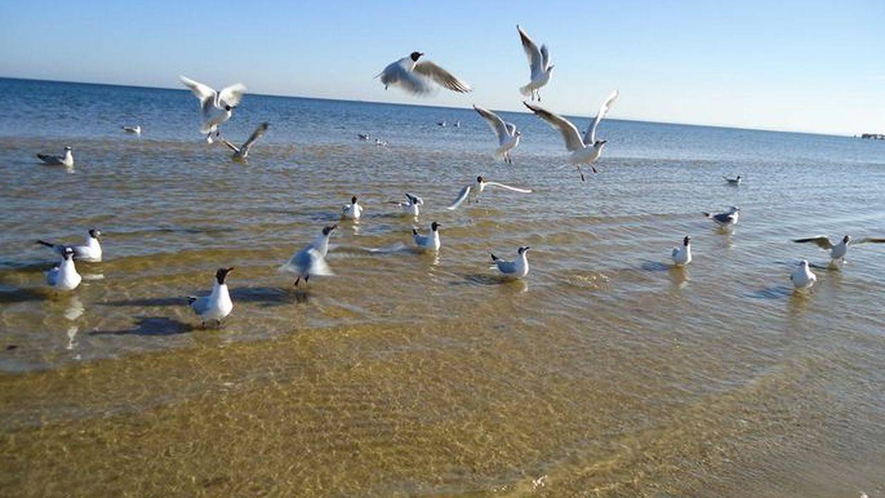 Doppelzimmer für 2 Personen (32 m²) in Karlshagen in Karlshagen, Usedomer Norden