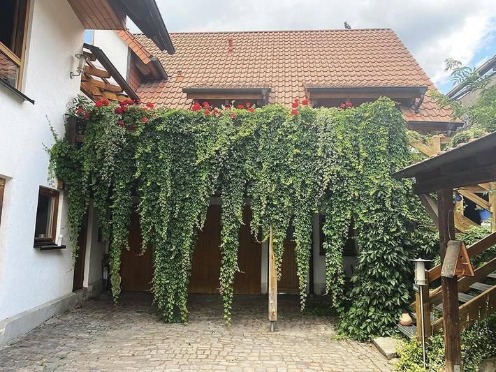 Ferienhaus für 5 Personen in der Pfalz - 3