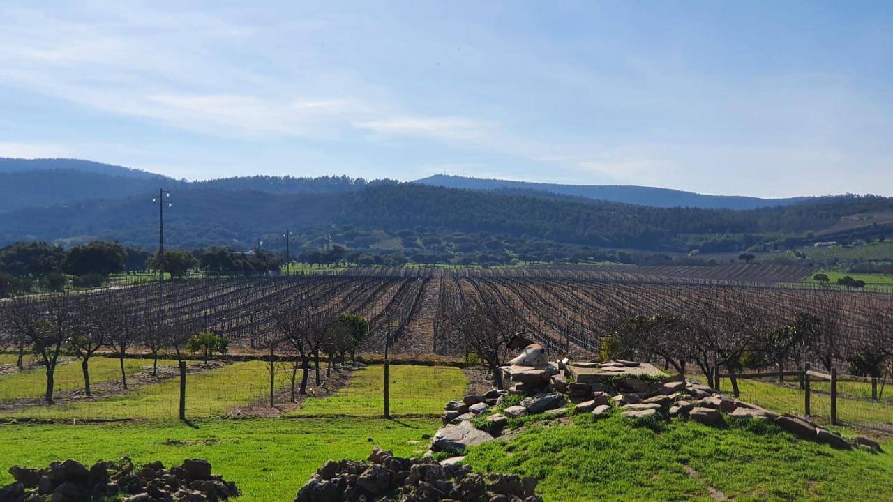 Herdade do Burrazeiro Turismo Rural no Alentejo in Distrito de Évora