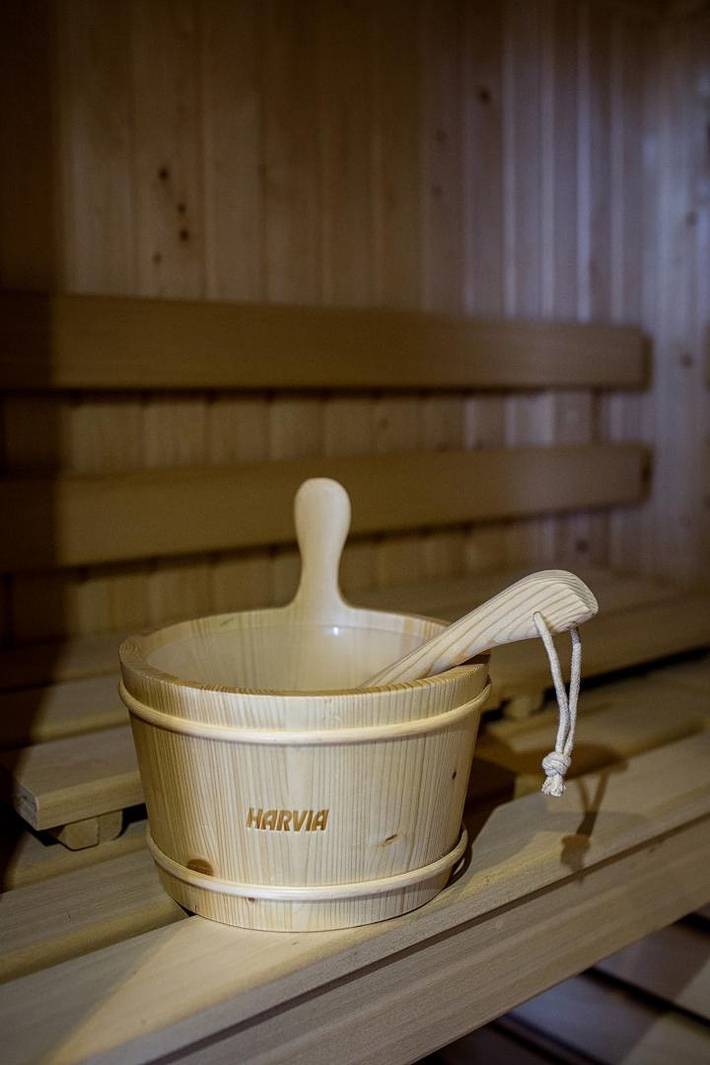 Gîte pour 6 personnes, avec sauna et terrasse ainsi que jacuzzi et jardin, animaux acceptés à Besse-et-Saint-Anastaise - 4