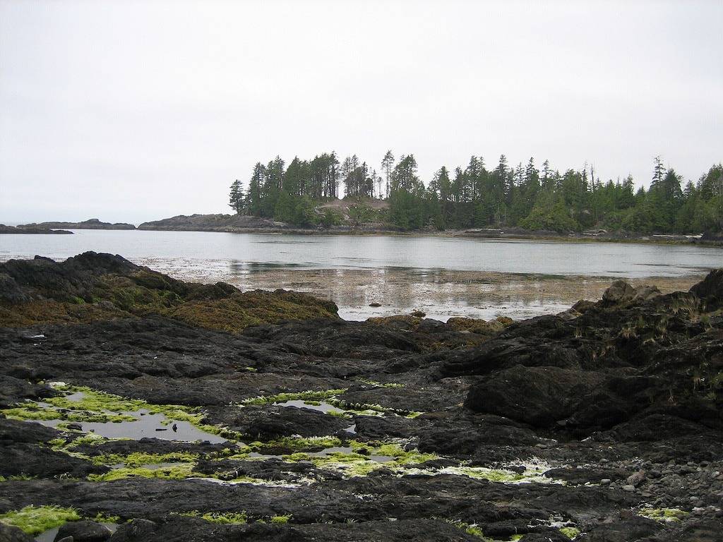 Tofino Strand Oasis auf World Famous Chesterman Beach! in Tofino, Alberni-Clayoquot Regional District