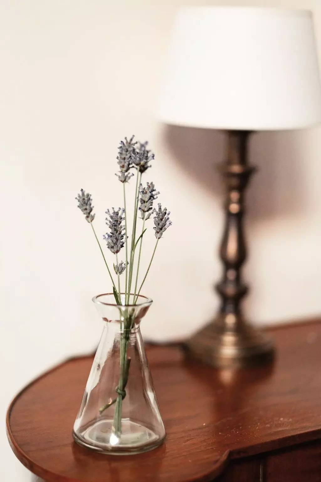 Entire apartment, 3 Pièces 2 Personnes in Pesaro, Valle del Metauro