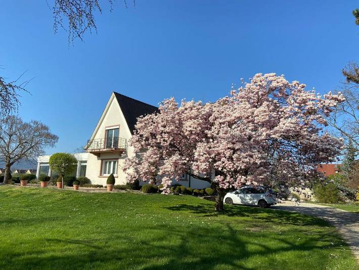 Maison d’hôte pour 2 personnes, avec Terrasse et Jacuzzi ainsi que Jardin et Piscine à Sélestat - 2