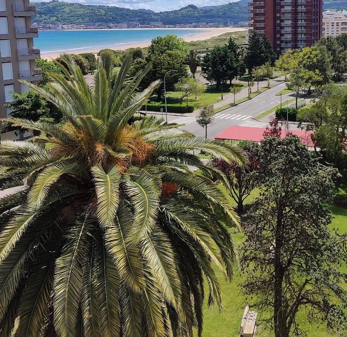 Gîte pour 4 personnes, avec vue et jardin à Laredo - 4