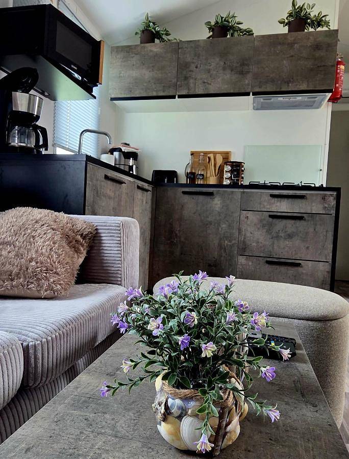 Glamping voor 6 personen, met tuin, met huisdier aan de Belgische Kust