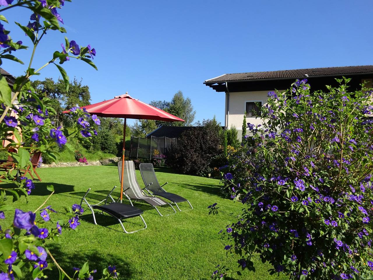 Ganze Wohnung, Phlox in Millstatt in Millstatt, Bezirk Spittal an der Drau