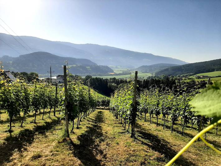 Ferienwohnung für 2 Personen, mit Terrasse und Garten sowie Sauna und Ausblick in Lavanttal - 3