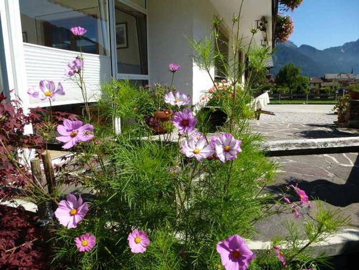 Ferienwohnung für 2 Personen, mit Balkon in Eben am Achensee - 2