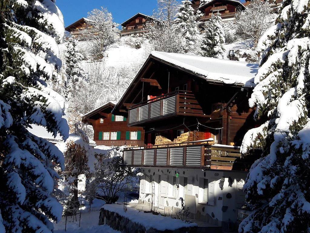 Ganze Ferienwohnung, Eigerlicht 3-Zimmerwohnung in Grindelwald, Grindelwald und Umgebung