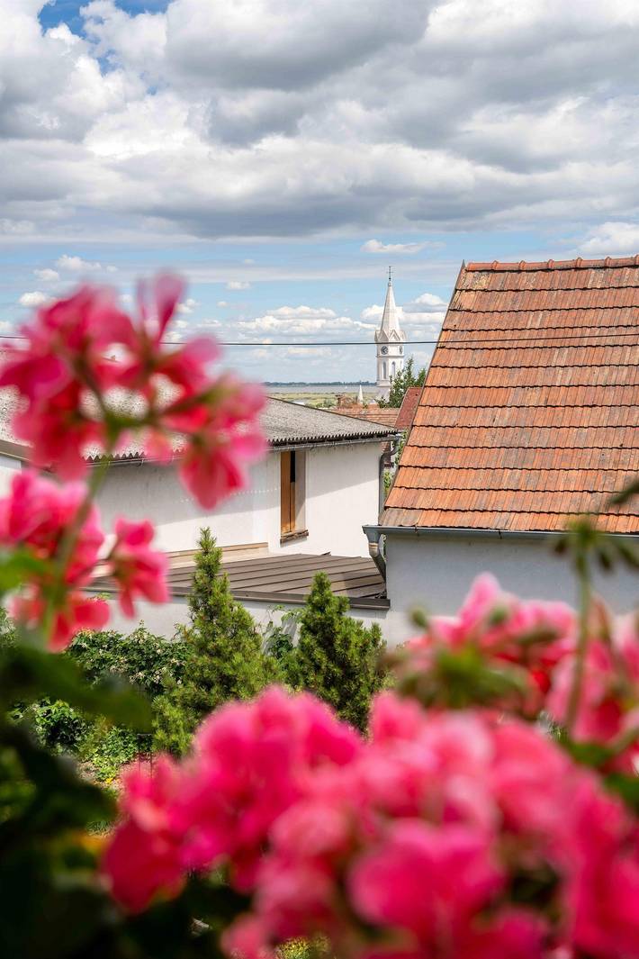 Ferienwohnung für 2 Personen, mit Balkon und Garten am Neusiedler See - 2