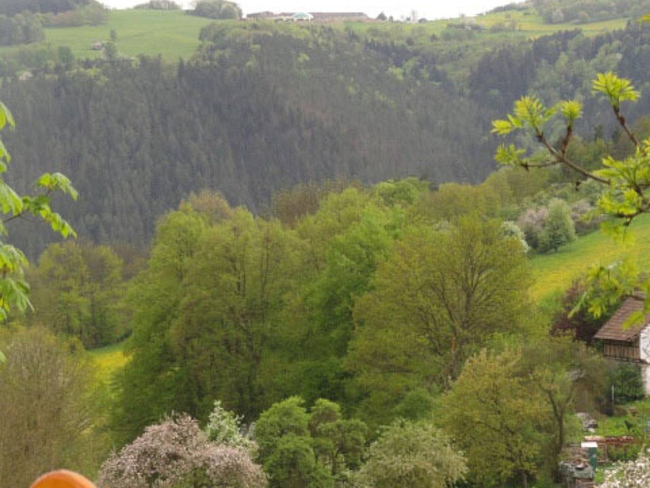 Ganze Ferienwohnung, Bungalow Celny - Ferienhaus mit zwei Räumen in Bad Blankenburg, Saaleland