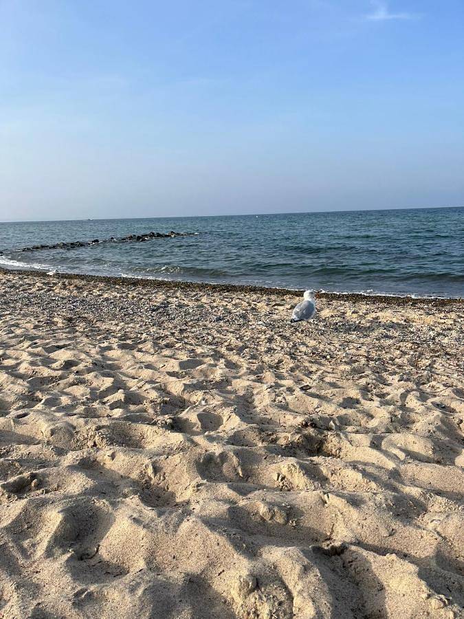 Gîte pour 3 personnes, avec vue et jardin à Bad Schwartau - 3