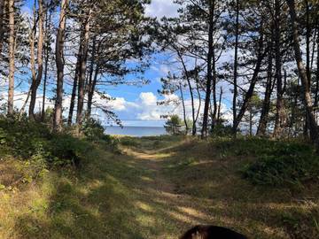 Vakantiehuis voor 10 Personen in Øerne, Ebeltoft, Afbeelding 2