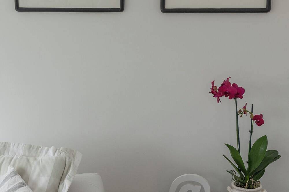 Luxe vakantiehuis Terschelling in de natuur loopafstand van de Noordzee in Nederlandse waddeneilanden