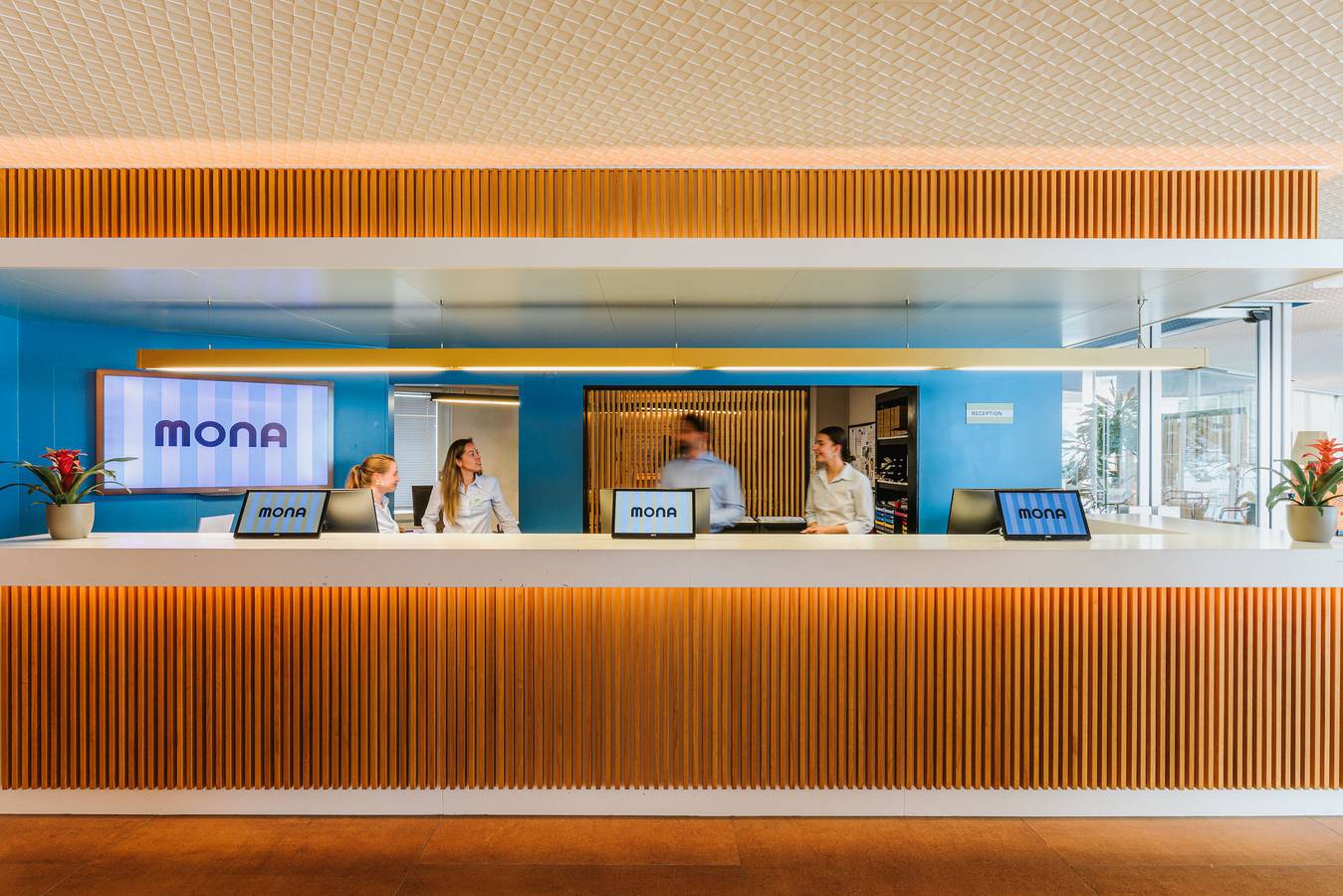 Mona - Cosy Mona in Montreux, Lake Geneva