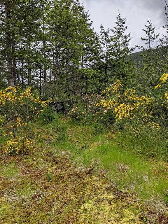 Camping pour 4 personnes dans Canada - 4