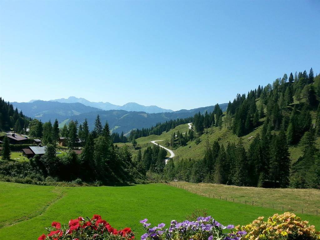 Ganze Ferienwohnung, Doppelzimmer Widdersberg mit Dusche/ Wc, Balkon in Mühlbach am Hochkönig, Ski Amadé