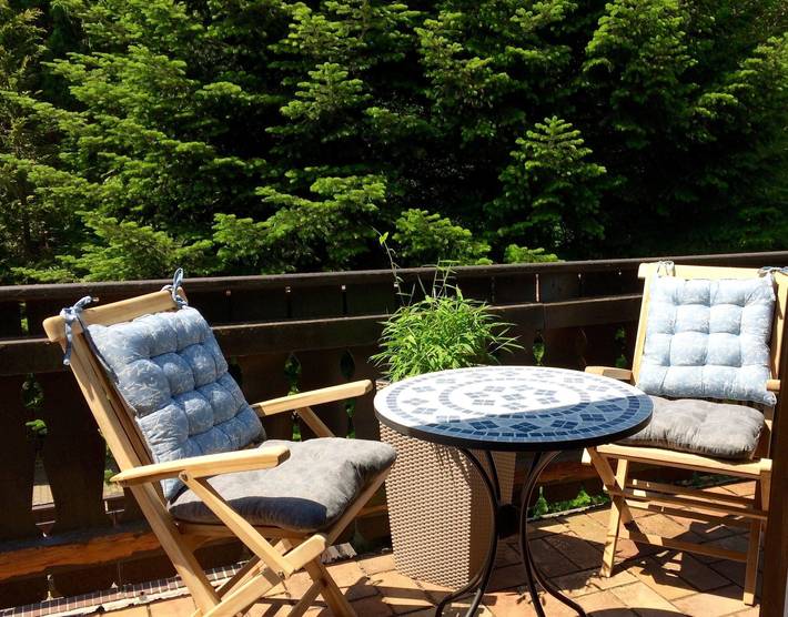 Ferienwohnung für 6 Personen, mit Garten und Balkon sowie Sauna in Altenau - 3