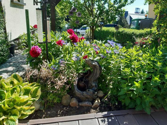 Ferienhaus für 3 Personen, mit Terrasse in Altenberg - 4