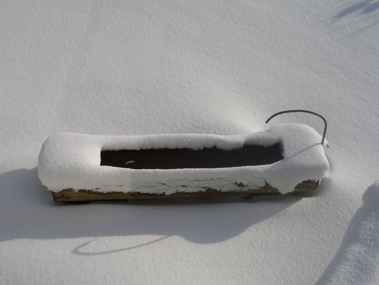 Ganze Ferienwohnung, Rössle Appartements in Bezau, Bregenzerwald - Appartement Fernblick in Bezau, Bregenzerwald