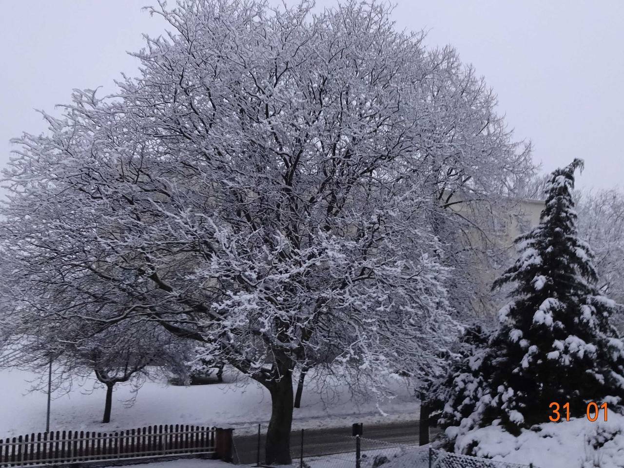 Ferienhaus Sylvia in Basedow - Ferienhaus (Cersowsky, Sylvia) in Malchiner See, Basedow