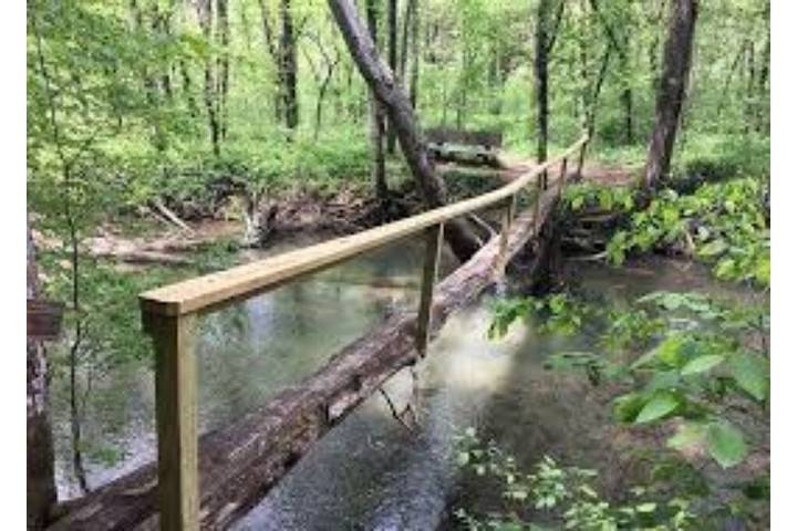 Blockhütte für 4 Personen, mit Garten und Terrasse, mit Haustier - 1