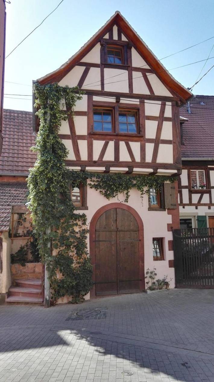 Gîte pour 2 personnes, animaux acceptés à Bouxwiller - 3