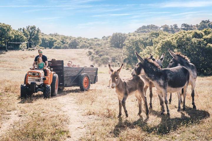 Villa pour 5 personnes, avec vue ainsi que jardin et piscine