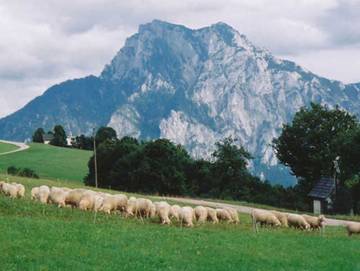 Ferienwohnung für 12 Personen in Traunsee, Bild 4