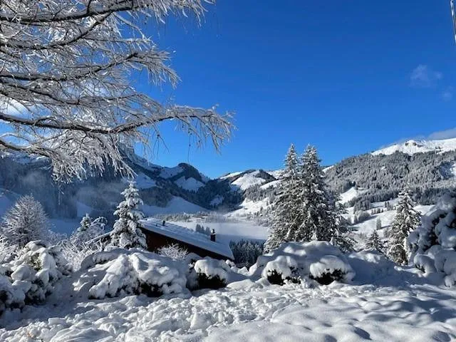 Ferienhaus für 10 Personen, mit Terrasse und Ausblick sowie Seeblick und Garten - 1