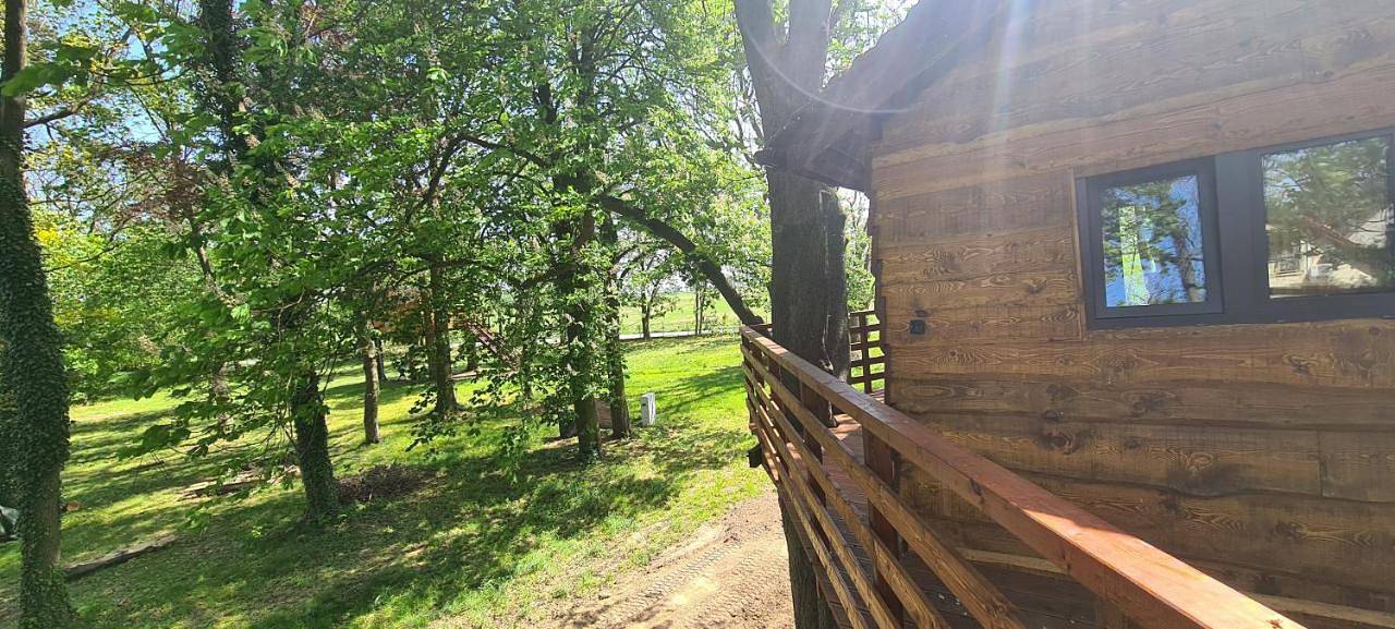 Tree Vill in Dolny Śląsk