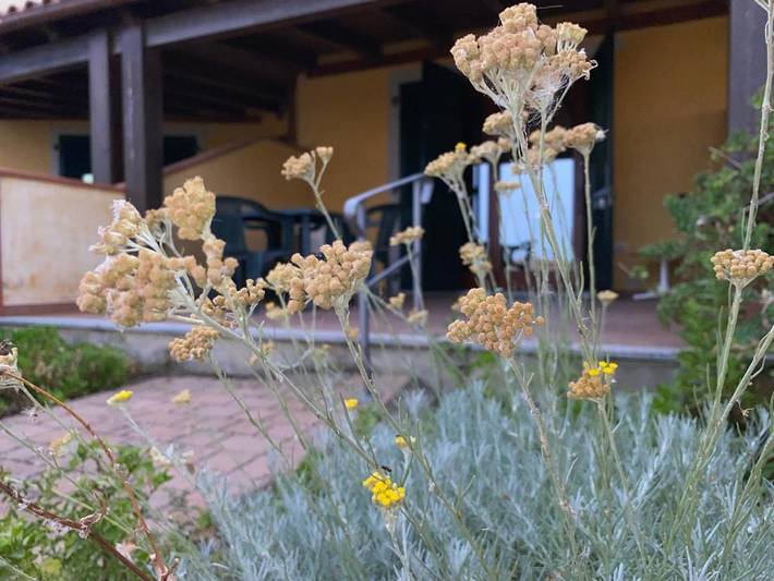 Ferienhaus für 5 Personen, mit Garten und Ausblick