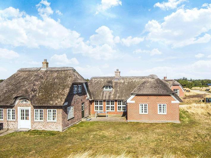Vakantiehuis voor 10 personen, with sauna and whirlpool as well as terras, kindvriendelijk in Blåvand