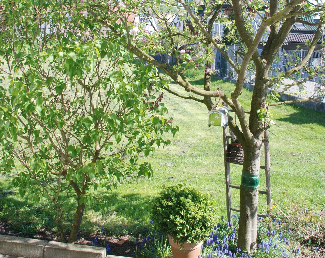 Ganze Ferienwohnung, Ferienwohnung Vogelnest - Ferienwohnung Vogelnest, 50qm, Garten, 1 Schlafzimmer, max. 2 Personen in Teningen, Südschwarzwald
