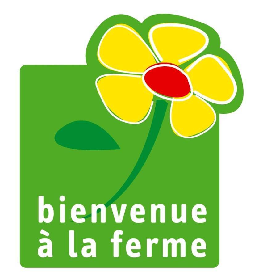 Locations insolites "vie en plein air" cabane Bastide Bellugue maison d'hôtes reseau Bienvenue à la ferme à 3 mn de lourmarin in Cadenet, Parc naturel régional du Luberon