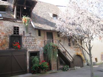 Casa Vacanza per 2 Persone in Colmar, Colmar e dintorni, Foto 4