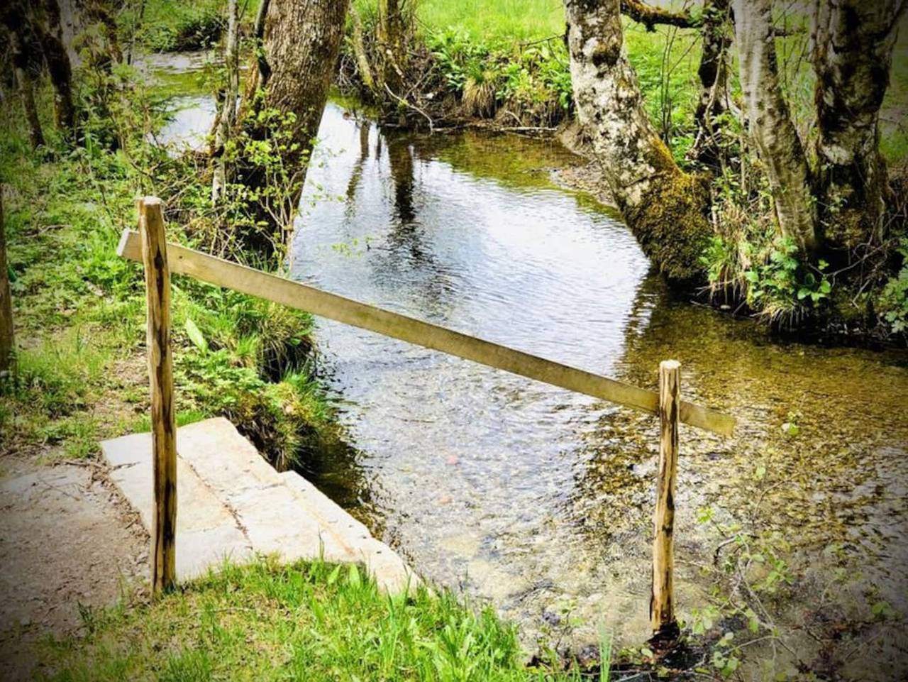 Ganze Ferienwohnung, Haus Gloria in Bizau - Natur pur - Ferienwohnung Gloria in Bizau, Bregenzerwald