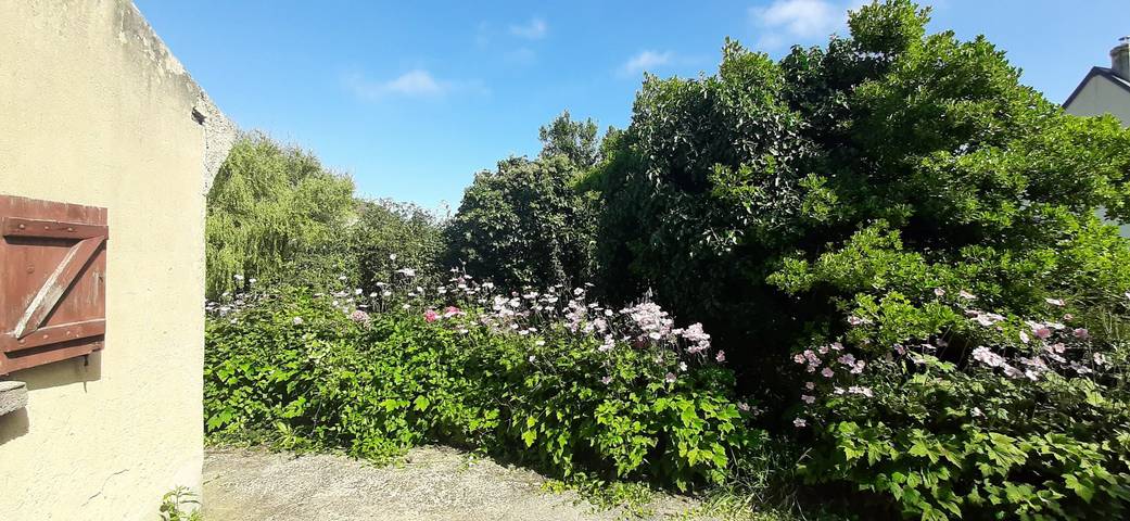 Gîte pour 7 personnes, avec terrasse et jardin, animaux acceptés dans le Calvados - 3