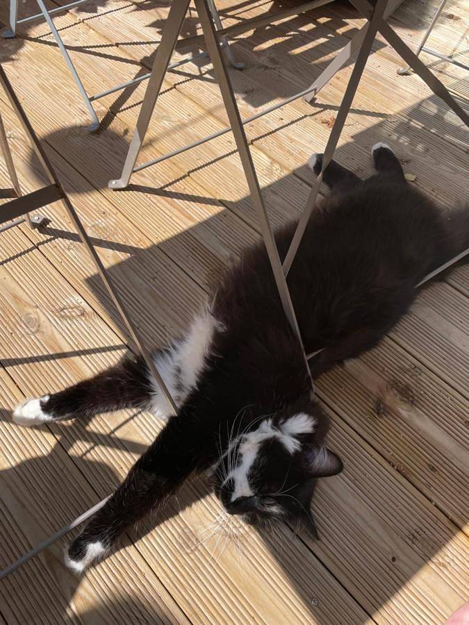 Maison d’hôte pour 3 personnes, avec terrasse à Amiens - 4