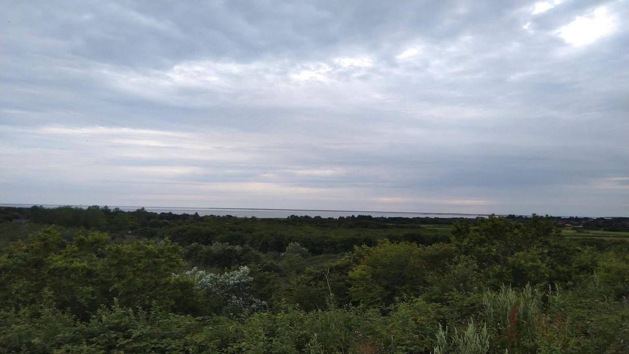 Ferienhaus für 5 Personen (69 m²) in Esbjerg V in Esbjerg, Esbjerg und Umgebung