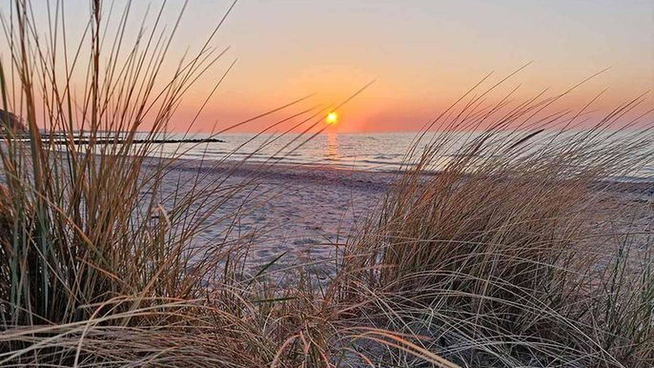 Ganze Ferienwohnung, Ferienwohnung für 2 Personen (40 m²) in Schashagen in Bliesdorf Strand, Schashagen