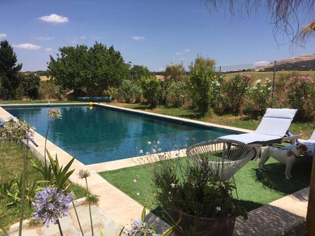Chambre d’hôte pour 10 personnes, avec vue ainsi que jardin et piscine, animaux acceptés à Arcos de la Frontera - 4