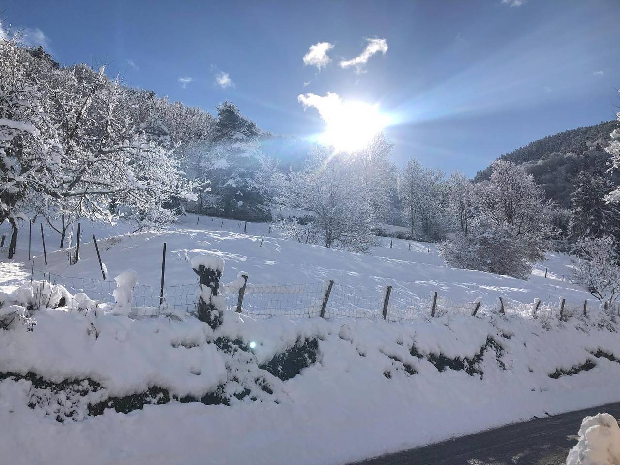 Mamilie in Camparan, French Pyrenees