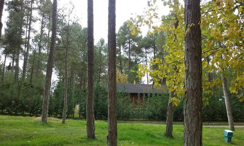 Camping Caravaning Cuenca in Cuenca, Provincia de Cuenca