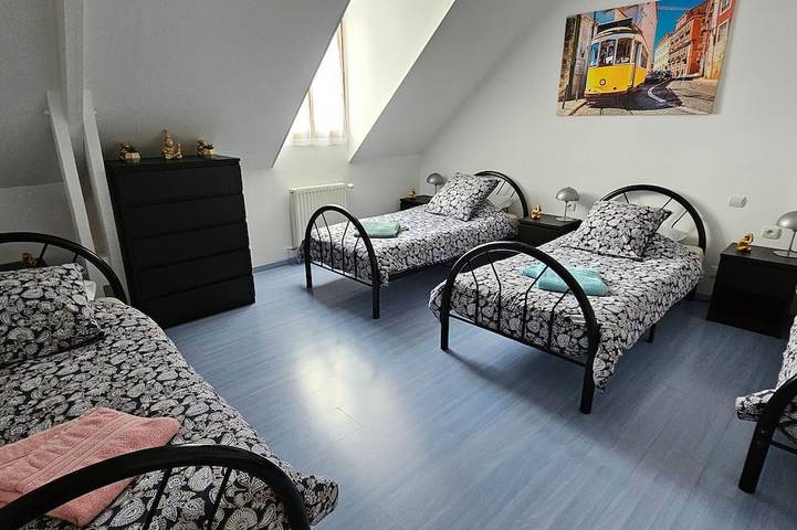 Gîte pour 12 personnes, avec jardin à Changé - 4